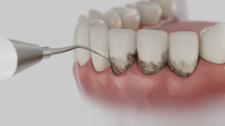 Reliable Dental contractor in Norton, OH by Dentist Open Now